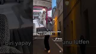 baslık yok #bp #bp #grafi2000 #kpop #blackpink #jensoo #keşfet #keşfetbeniöneçıkar #kralşakir #blink