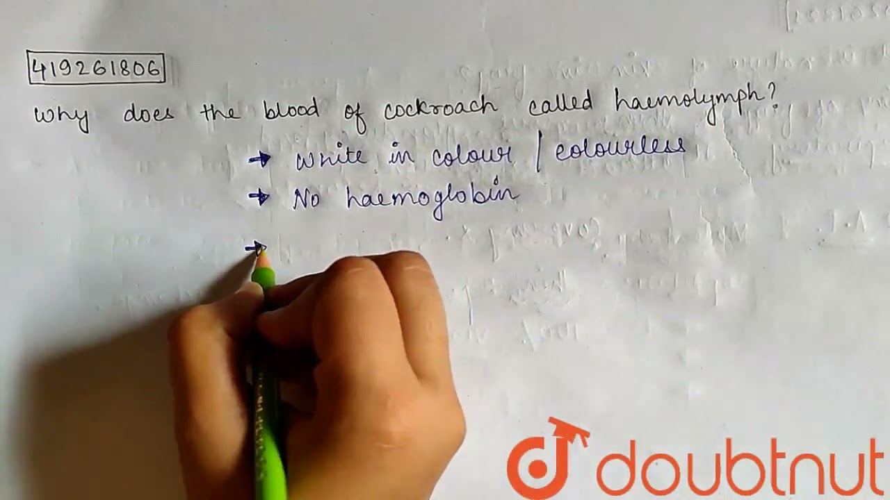 Why does the blood of cockroach called haemolymph ? | CLASS 11 | STRUCTURAL  ORGANISATION IN ANI...