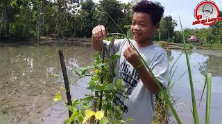 kerjo nggo sangu rabi eps 01