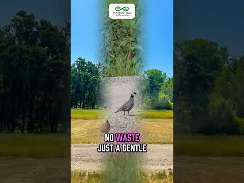 Video The Truth About Green Burials: Saving the Earth (and Your Wallet)