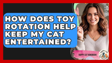 How Does Toy Rotation Help Keep My Cat Entertained? - Happy Cat Handbook