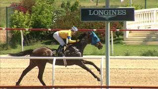 Vidéo de la course PMU HIGH FUGHT HANDICAP