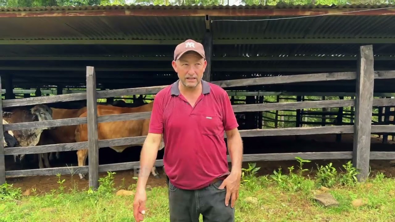 Finca Ganadera El Renuevo, San Luis, El Carmen, Santander