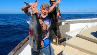 Bluefin Tuna Fishing on the Navegante, Redondo Sportfishing.