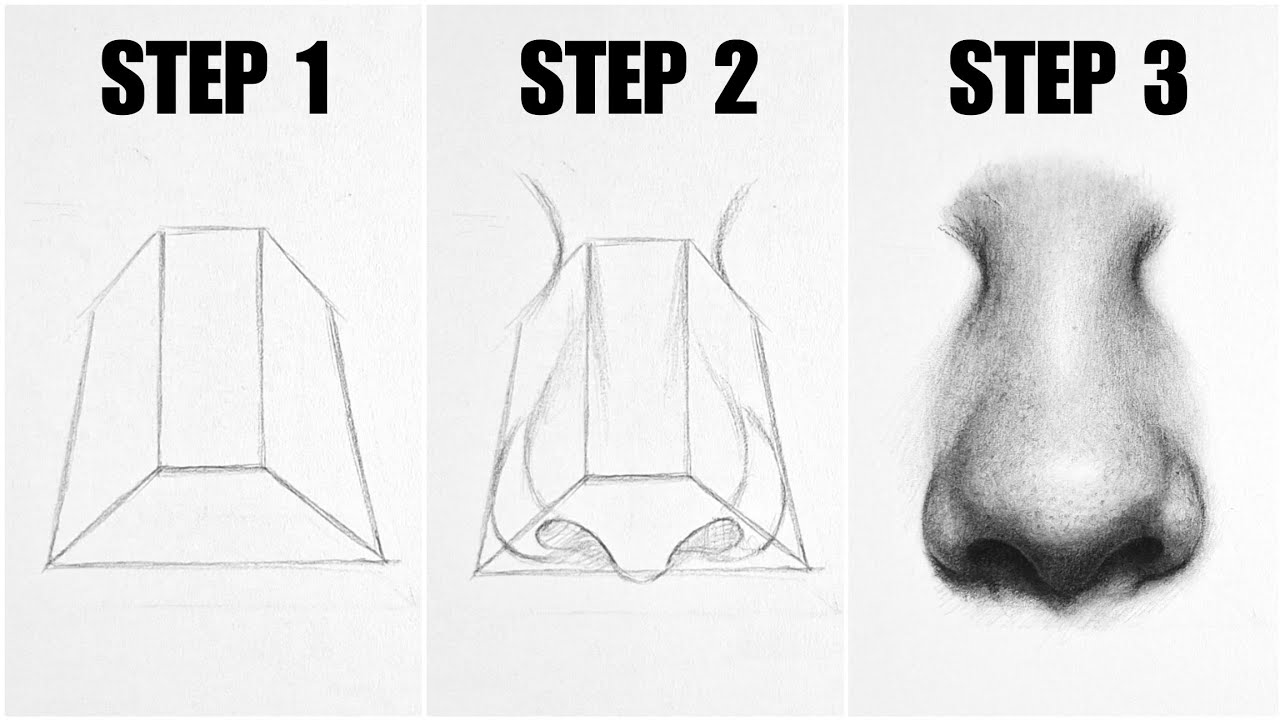 How to Draw Realistic NOSE - step by step guide for beginners 