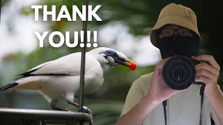 My 300 SUBSCRIBER SPECIAL!!!