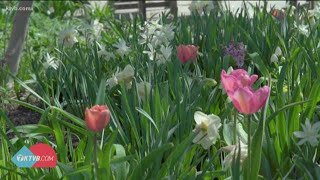 Moment of Zen: Idaho Botanical Garden