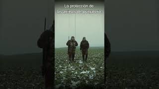 La protección de las animas del purgatorio