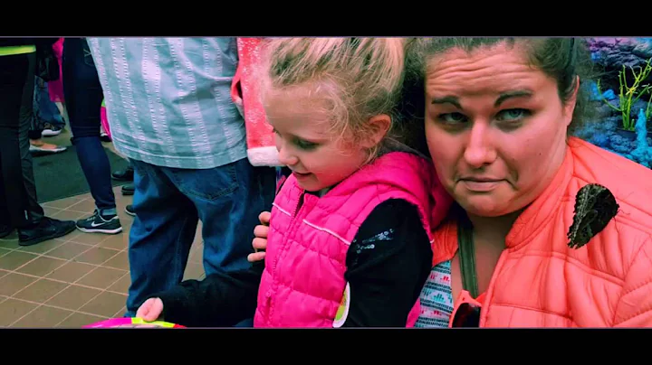 Krohn Conservatory Butterfly Show, 2016 - Butterflies of the Caribbean