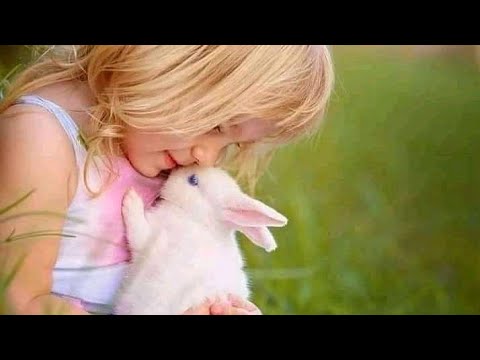 نادر خضر الليله ماجا