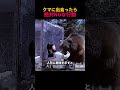クマに出会ったら絶対NGな行動