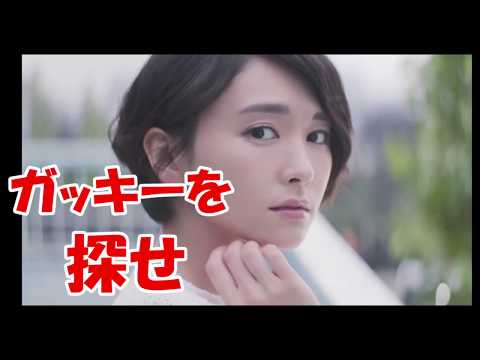 ガッキーを探せ