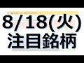 【8月18日(火)の注目銘柄】本日の株式相場振り返りと明日の注目銘柄を解説