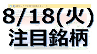 【8月18日(火)の注目銘柄】本日の株式相場振り返りと明日の注目銘柄を解説