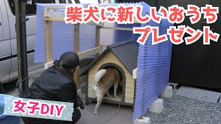 女子diy 素人女子が柴犬のために頑張った 新築へお引越し 犬小屋 ドッグハウス ドッグスペース Youtube