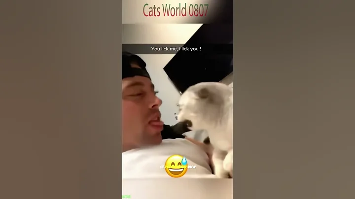 Video 11213431: cats russian cartoon, funny russian cats, funny cat cartoons talking