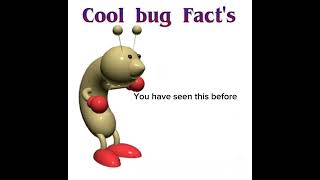 Cool bug facts!