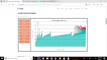 Key Sections of GCeasy Report