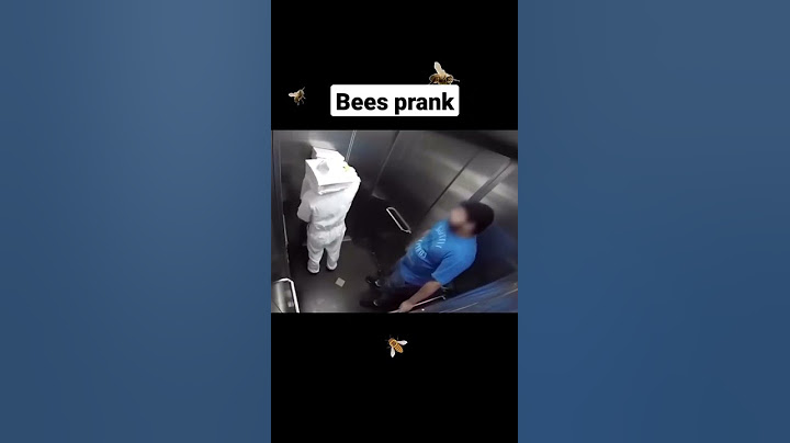 bees prank in the elevator🤣🤣🤣 #chavorgrabbafamily #myvideo #viralvideo #trending #youtube #funny