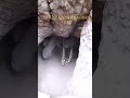 Hadzabe Tribe Lives In Caves 
