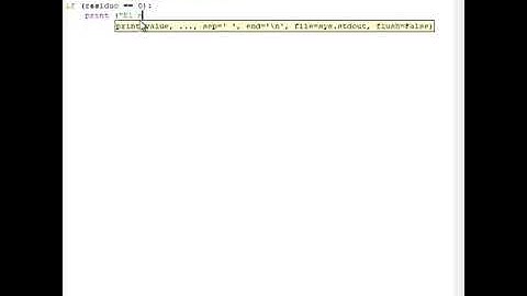 Python - condicional y operador de división