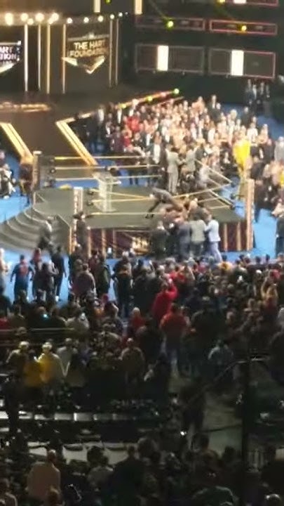 Wwe Hall Of Fame 2019 Attack Video Crazed fan attacks Bret Hart at WWE hall of fame induction 2019 - YouTube