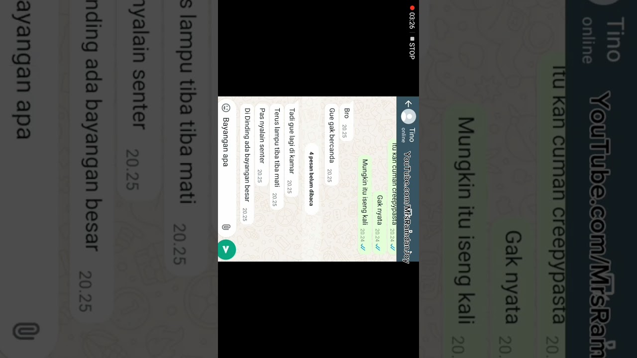 TINO BERTEMU CARTOON CAT 😱 | Chat History Horror TERSERAM