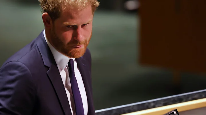 'She wouldn't do anything to hurt him': Prince Harry is 'being incredibly spiteful' of Camilla
