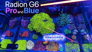 Radion G6 Color Spectrum Review / Pro and Blue Lights Compared