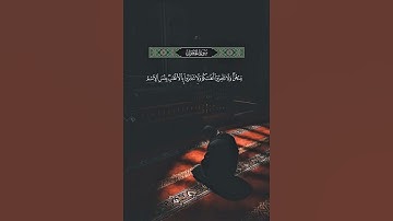 #سورة_الحجرات #الشيخ_ماهر_المعيقلي #رحلة_إيمانية #تلاوة_مؤثرة