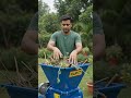 Expand Your Agri-Machinery Business with Maruti Garden Shredders! 🚜💼