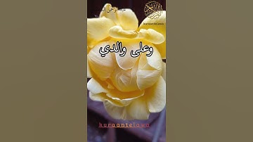ووصينا الإنسان بوالديه اجمل تلاوات الشيخ عبد الرحمن السديس حالات واتس آب قرآن مقاطع قرآن قصيره