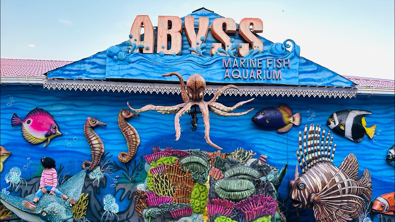 Goa Beautiful fish aquarium in goa YouTube