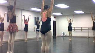 DRM/Moscow Ballet: Mice