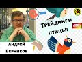 Андрей Верников - Трейдинг и птицы!