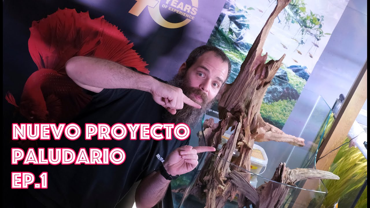Nuevo Proyecto Paludario Aqua Biotop SERA - Ep 1