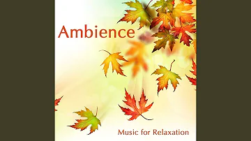 Ambient Music for Hatha Yoga