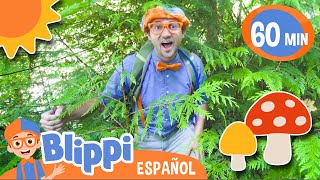 Blippi Hace Senderismo Y Limpia Una Playa | Aprende con blippi | Videos educativos para niños