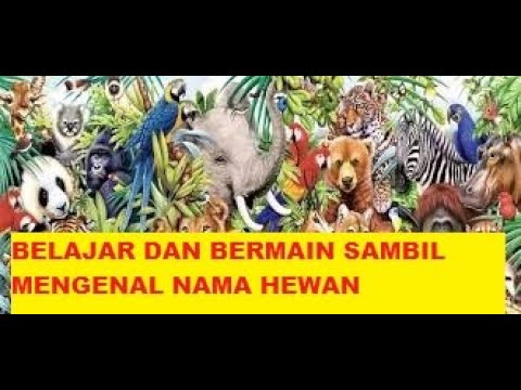 Belajar dan  Bermain Sambil Mengenal Nama  nama  Hewan  YouTube