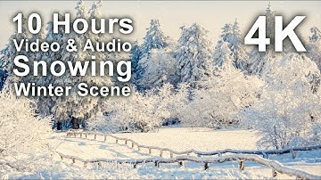 4K 10 hours - Snowing Winter Scene Screensaver - relaxing, gentle, calming