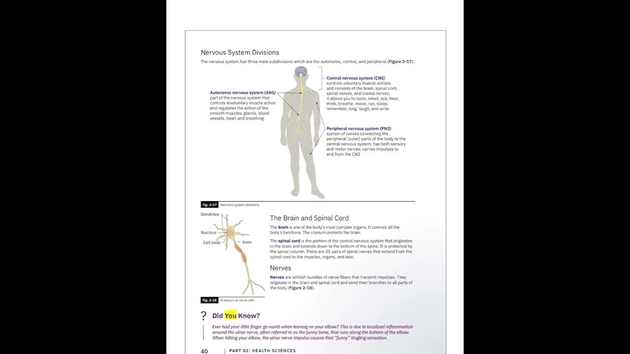 Milady Cosmetology Chapter 2 Anatomy & Physiology Part 2 - YouTube