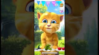 Talking Ginger Spin It