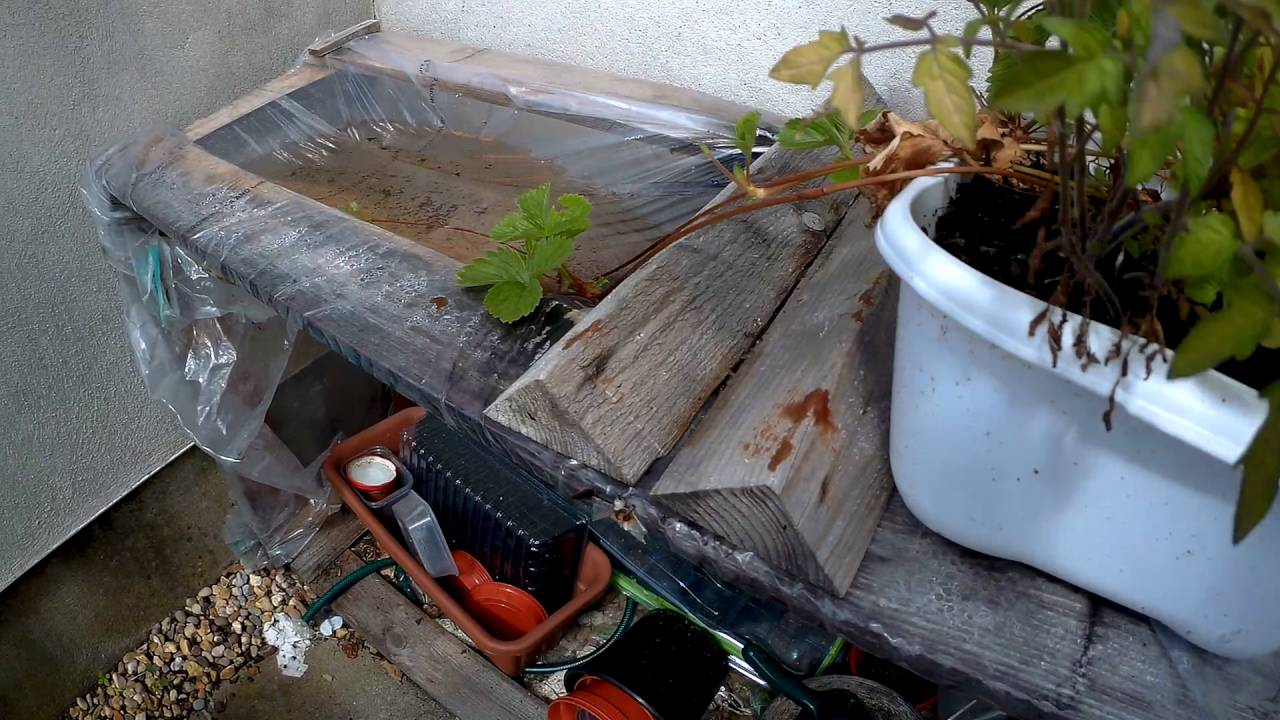 SJCAM SJ5000X ELITE 1080p 60 FPS [QUALITY]