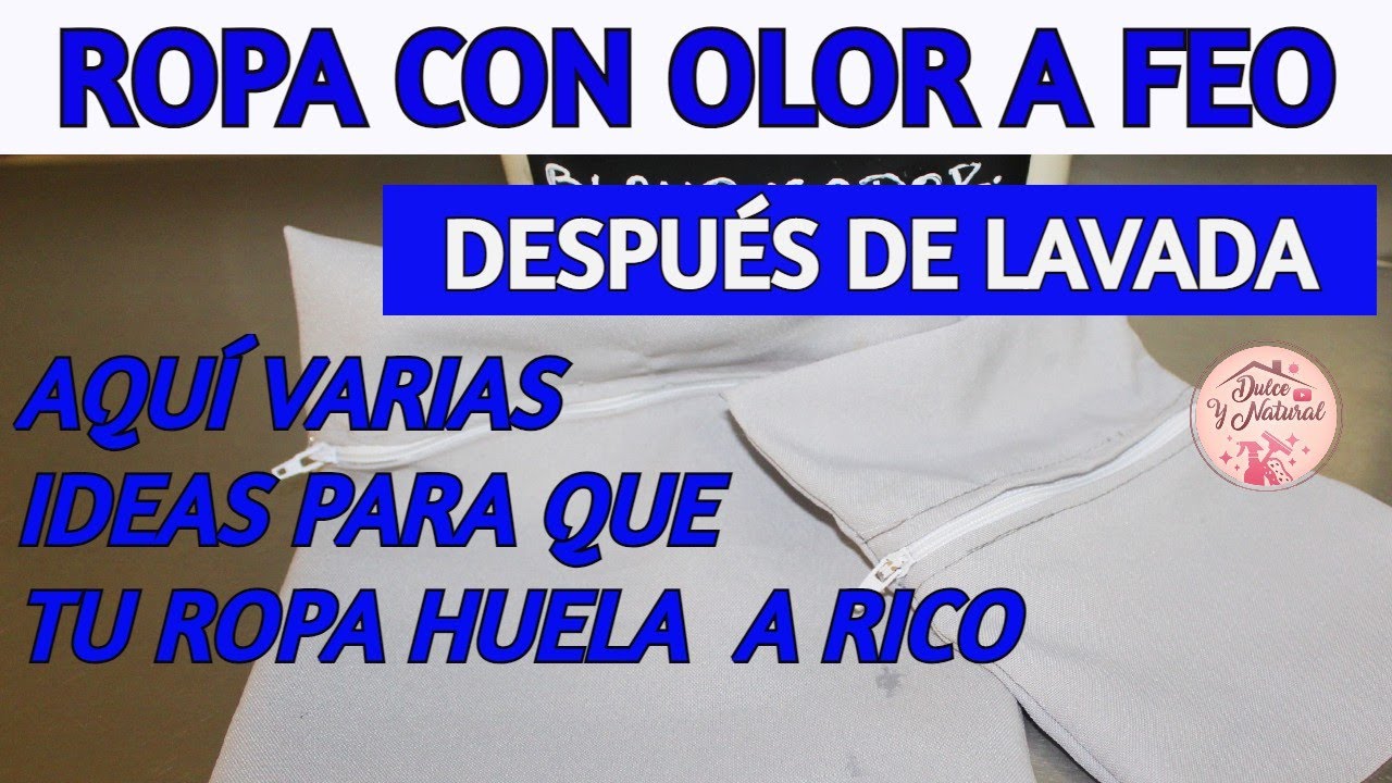 Total 97+ imagen porque la ropa huele feo despues de lavarla Abzlocal.mx Total 97+ imagen porque la ropa huele feo despues de lavarla Abzlocal.mx