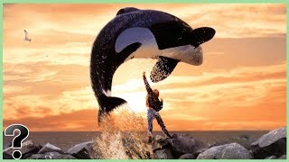 What If Killer Whales Went Extinct?