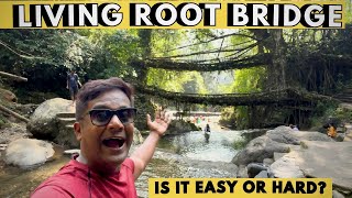 Meghalaya Tour: Guide To Double Decker Living Root Bridge | Cherrapunji | Rainbow Waterfalls Trek