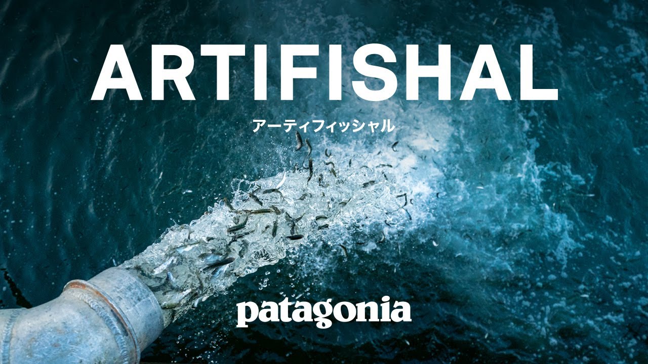 アーティフィッシャル - Patagonia Stories 