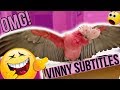 My Parrot Talking Smack About People Who Touch his Boxes | * Subtitles *