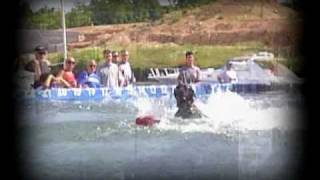 Canine Cannon Ball Dog Days Lake of the Ozarks