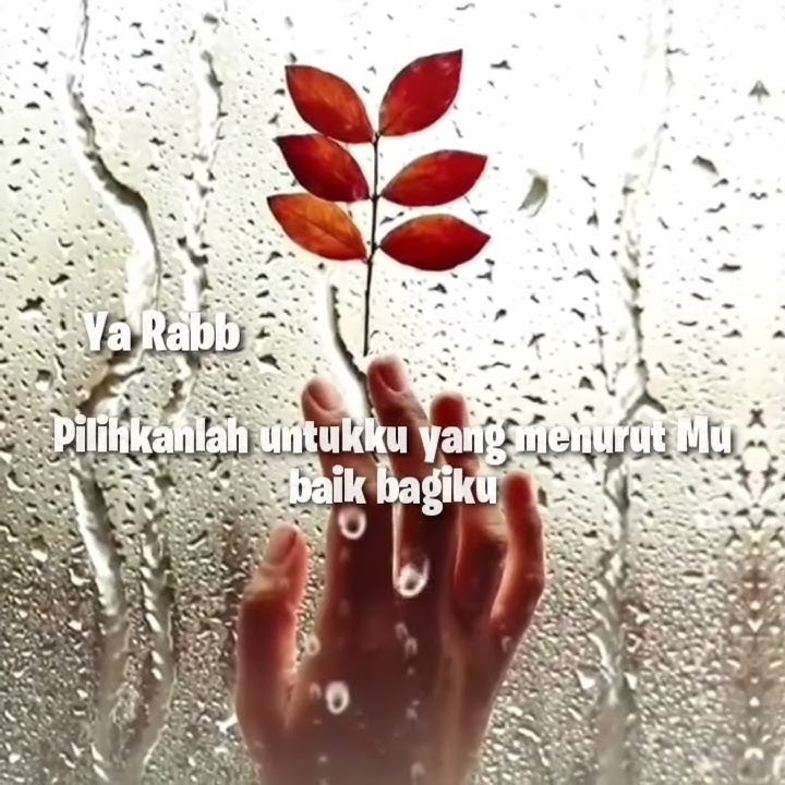 status wa || Ya Rabb